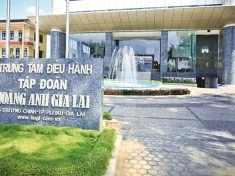 Thay đổi lô trái phiếu 1.000 tỷ của Công ty con Hoàng Anh Gia Lai (HAG): Giảm lợi tức được chia từ các công ty trông dâu tằm và cà phê còn 11,5%