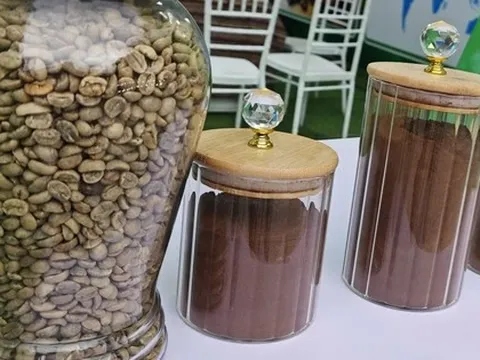 Giá cà phê hôm nay 13-9: Tăng tiếp phiên thứ 3, cà phê hòa tan bùng nổ?