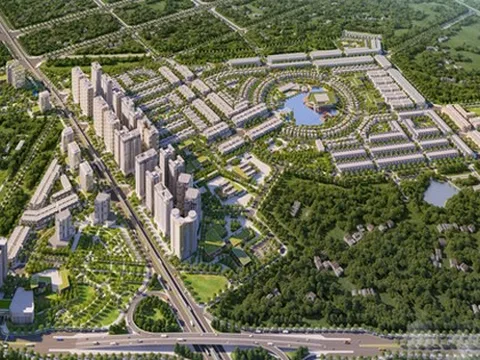 Lãi ròng bán niên 2025 của WTO đạt gần 125 tỷ đồng