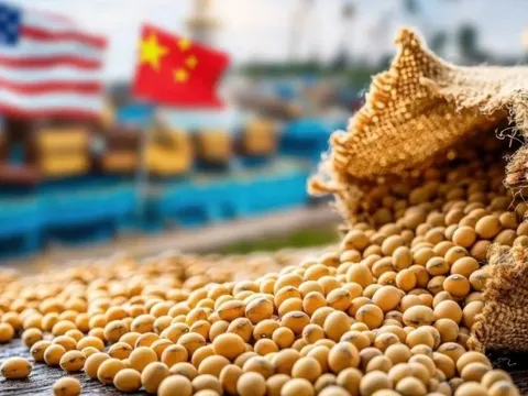 Giữa mùa cao điểm, triệu tấn hàng Mỹ thất thu tỷ USD vì Trung Quốc ‘ngó lơ’, chọn nguồn Brazil