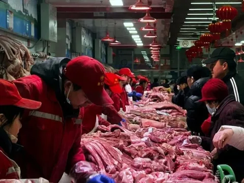 Trung Quốc đánh thuế sốc với thịt lợn nhập, cơn 'ác mộng' đe dọa 4 quốc gia