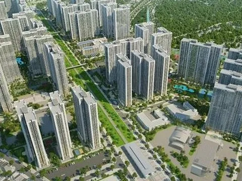 Thái Sơn cải thiện từ lỗ sang lãi, nợ gấp hơn 4 lần vốn chủ sở hữu