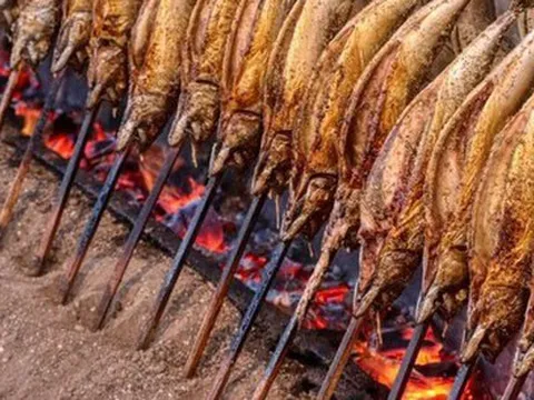 Một 'mỏ vàng' của Việt Nam được Mỹ, Trung Quốc tích cực mua hàng: thu về hàng tỷ USD, cả thế giới nuôi nhưng chỉ nước ta tạo ra ngành công nghiệp