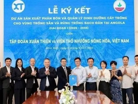 Hành động mới của "Bầu" Thiện tại châu Phi