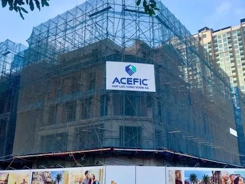 ACE Thái Bình Dương cùng loạt công ty thành viên chậm đóng bảo hiểm TP.Hà Nội