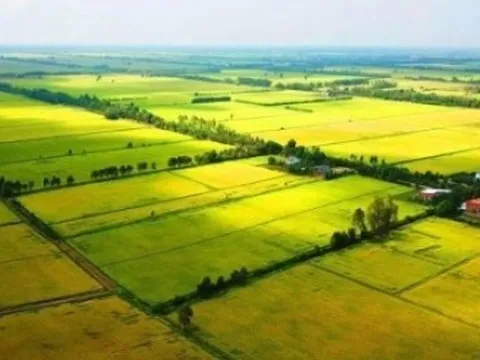 Đề xuất giảm tiền sử dụng đất khi chuyển đổi đất vườn thành đất ở