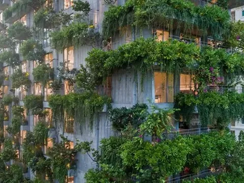 Một khách sạn ven biển Đà Nẵng bị phạt 564 triệu đồng