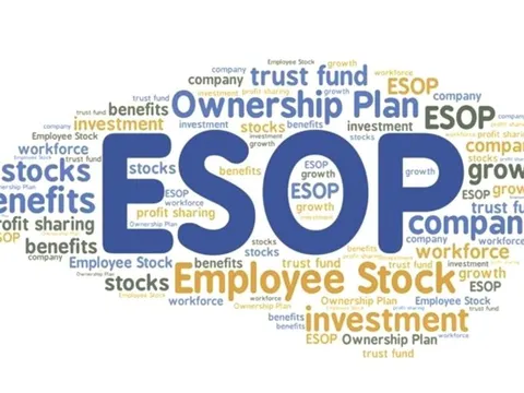 ESOP là gì? Ai là người được mua cổ phiếu “giá rẻ” và ảnh hưởng thế nào tới nhà đầu tư?