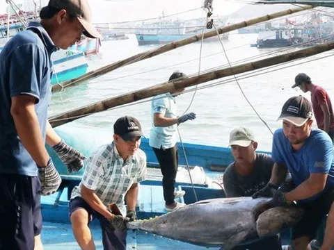 Đề nghị Mỹ xem xét khách quan việc dừng nhập khẩu một số loài hải sản