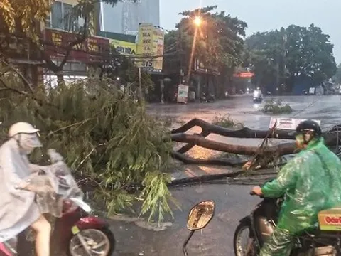 Cuối tháng 9, Biển Đông có thể đón 1-2 cơn bão mạnh