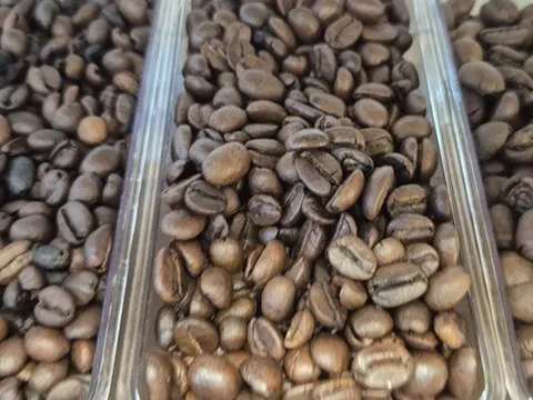 Giá cà phê hôm nay 16-9: Tăng như mơ
