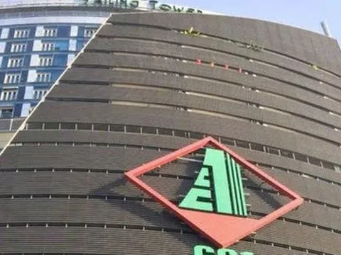 CC1 muốn thoái bớt vốn tại một công ty con