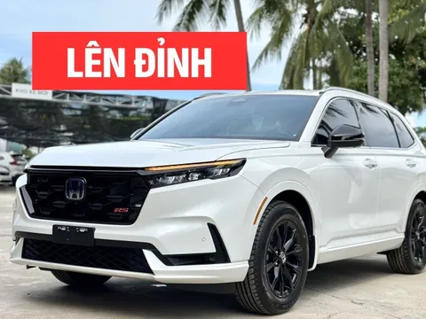 Xe hybrid bán chạy tháng 8 tại Việt Nam: CR-V bất ngờ lên đỉnh, Yaris Cross tăng mạnh nhưng nhiều mẫu xe Toyota lao dốc