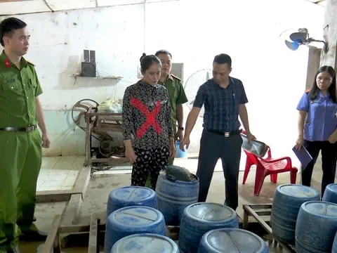 Công an đột kích xưởng sản xuất giá đỗ, phát hiện 1,4 tấn giá đang được "tắm" trong "nước kẹo" giúp phát triển thần tốc