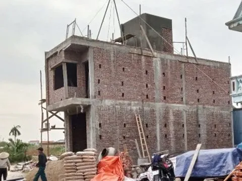 Tình tiết bất ngờ vụ xây nhà nhầm trên đất người khác: Bị đơn kháng cáo, không trả đất