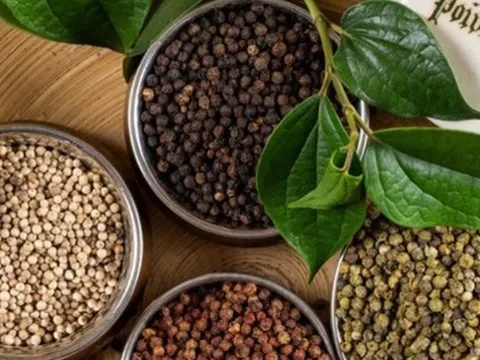 Giá tiêu hôm nay 18/9: Giảm nhẹ 1.000 đồng/kg