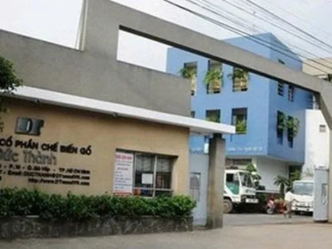 Vi phạm trong lĩnh vực chứng khoán, Gỗ Đức Thành bị phạt hơn 200 triệu đồng