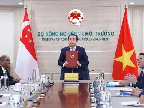 Việt Nam và Singapore vừa ký kết chiến lược, liên quan thị trường ước đạt 250 tỷ USD: "Bùng nổ" năm 2050