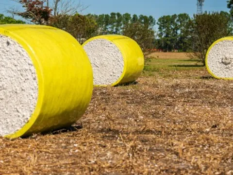 Mỹ đã chi hơn 10 tỷ USD mua một mặt hàng quan trọng của Việt Nam: Nước ta vừa vươn lên đứng thứ 2 thế giới, hàng trăm quốc gia đã đặt gạch mua hàng