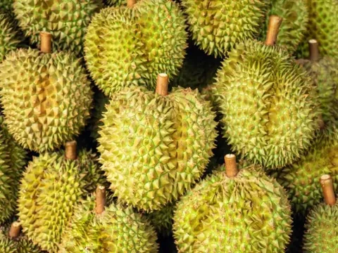 Quyết lấy lại thị phần tại Trung Quốc, một ông lớn Thái Lan chuẩn bị ra mắt xôi sầu riêng ăn liền, sẽ mở rộng sang cả thị trường châu Âu