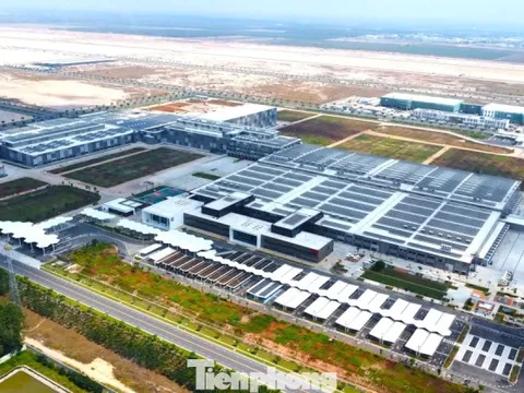 Nhà máy tỷ USD đầu tiên tại TPHCM sử dụng 100% năng lượng tái tạo