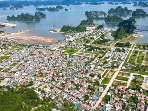 Quảng Ninh “tăng tốc” giải phóng mặt bằng, mở đường triển khai siêu dự án 1 tỷ USD của HDMon tại đặc khu Vân Đồn