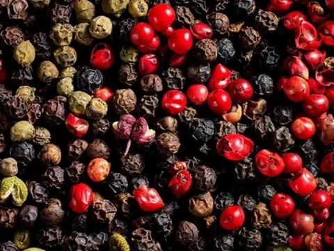 Giá tiêu ngày 19/9: Giảm chung theo xu hướng thế giới, nội địa cao nhất 151.000 đồng/kg