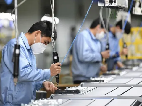 Người lao động làm không quá 8 giờ/ngày, hưởng 300% lương dịp lễ Tết