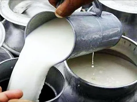 Đột kích một cơ sở lúc 4 giờ sáng, công an triệt phá đường dây sản xuất sữa giả từ nước bẩn, tịch thu loạt túi nhựa, công cụ pha trộn công nghiệp