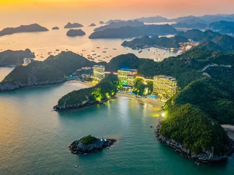 Flamingo Cát Bà Resorts xác lập vị thế top đầu qua hiệu suất lấp đầy ấn tượng