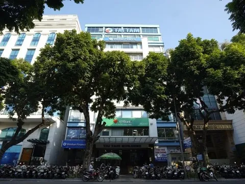 Chủ tịch 82 tuổi và gia tộc họ Đỗ đứng sau Tập đoàn bất động sản kín tiếng nắm trong tay loạt dự án điện gió hàng nghỉn tỷ đồng