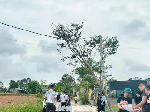 'Thổi giá', gom đất, phân lô bán nền tràn lan sau công bố quy hoạch
