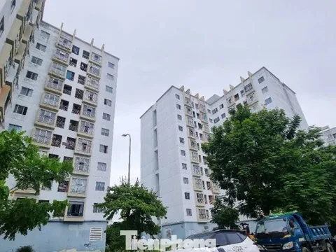 Giá nhà chung cư Đà Nẵng ‘nhảy múa’ chóng mặt