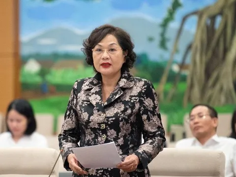 NHNN báo cáo Chính phủ việc chi trả bảo hiểm tiền gửi trong trường hợp đặc biệt