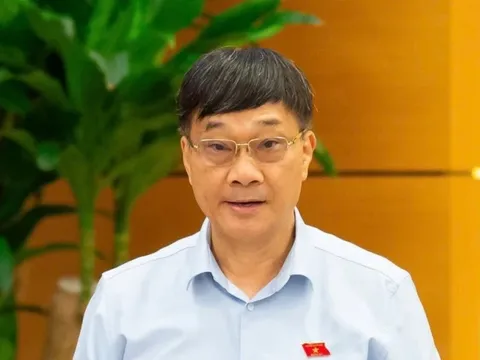 Phó Chủ tịch Quốc hội: 'Anh em rất sợ, từ thái cực này dễ chuyển sang thái cực kia...'