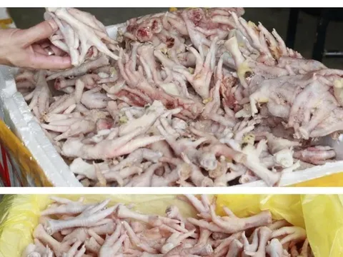 Phát hiện kho đông lạnh chứa hàng nghìn chân gà, xúc xích lậu