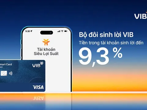 Bộ đôi Sinh Lời VIB – Giải pháp tài chính tối ưu dòng tiền đến 9,3%