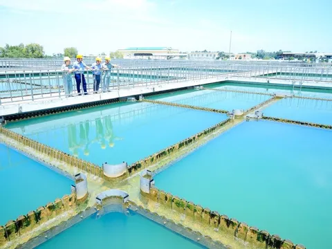 Cổ đông lớn Sonadezi không đồng ý điều chỉnh kế hoạch SXKD năm 2025 và lương thưởng Chủ tịch HĐQT 163 triệu đồng/tháng của Dowaco