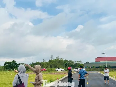 Chính quyền cảnh báo dự án 'ảo' tạo sốt đất ở vùng quê