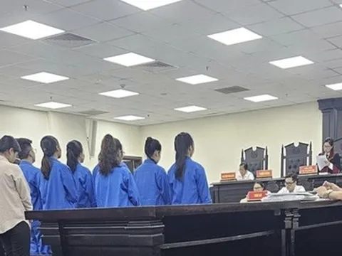 "Ông trùm" lập hàng chục công ty ma lừa đảo liên quan đến Mr Pips lĩnh án