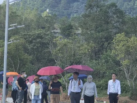 Hé lộ chiêu thức dựng dự án 'ảo', lừa bán đất nền ở vùng quê