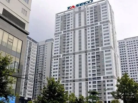 Nhóm Dragon Capital, SHS, VietinbankSC... rót gần 1.500 tỷ đồng vào Taseco Land, lập tức "lãi trên giấy tờ" hơn 50%