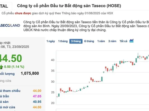 Ngược dòng thị trường, TAL hút vốn của các NĐT Nước ngoài