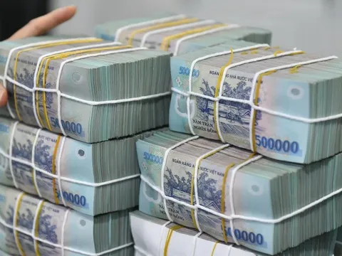 Tuần tới, một doanh nghiệp bảo hiểm sẽ lăn chốt trả cổ tức tiền mặt 31,5%