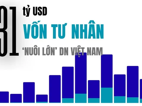 31 tỷ USD 'nuôi lớn' Masan, Tiki, Equest, Golden Gate... trong 1 thập kỷ từ dòng vốn tư nhân