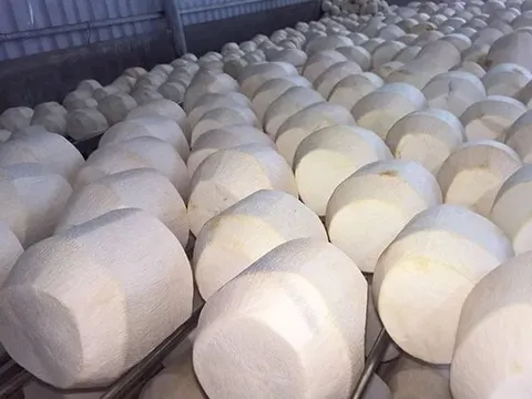 Vượt Trung Quốc, Mỹ chi hơn 2.100 tỷ để nhập một “sản vật” của Việt Nam, hơn 40 quốc gia cũng đặt hàng