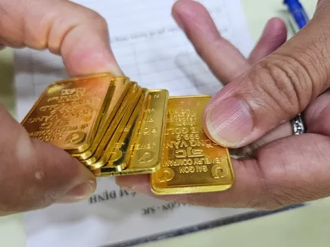 Sáng 24-9, giá vàng miếng SJC bất ngờ giảm trở lại