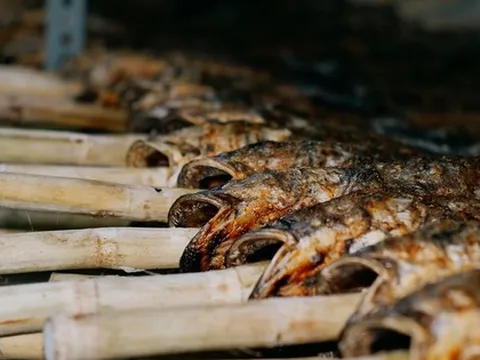 'Kho báu' dưới nước giúp Việt Nam thành ông trùm số 1 thế giới: chất lượng vừa rẻ vừa ngon, chỉ Việt Nam tạo nên ngành công nghiệp tỷ đô