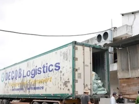 Xe đầu kéo chở 30 tấn thịt lợn, dê và chân gà không rõ nguồn gốc