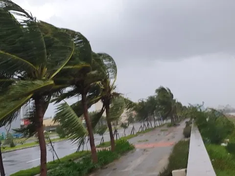 Bão số 10 Bualoi sắp đổ bộ: Ít nhất 4 địa phương cho học sinh nghỉ học ngày mai